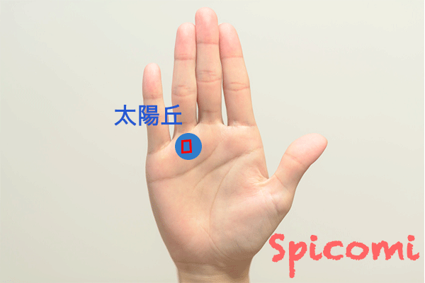 太陽丘の四角紋・スクエア