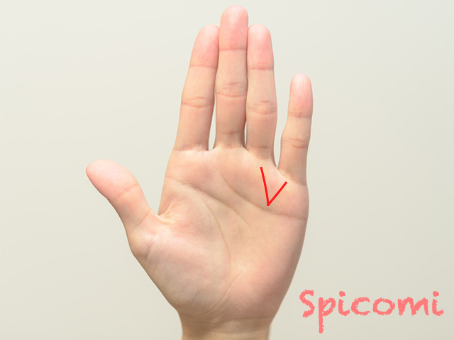 太陽線と財運線が合流（V字）