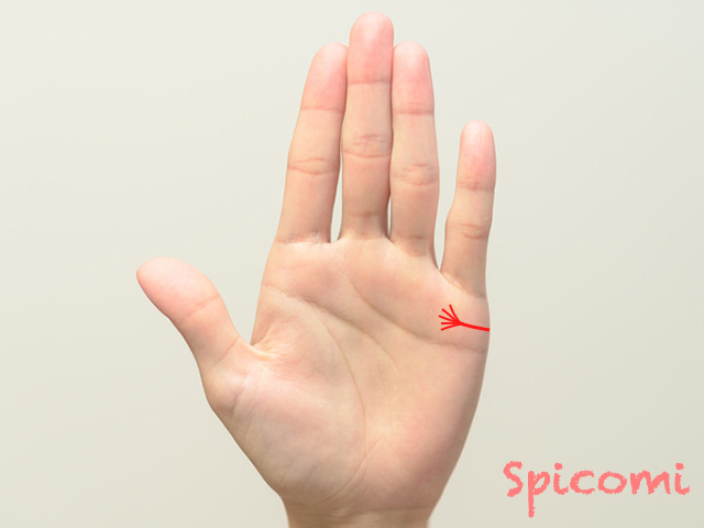 結婚線がほうき状に枝分かれ