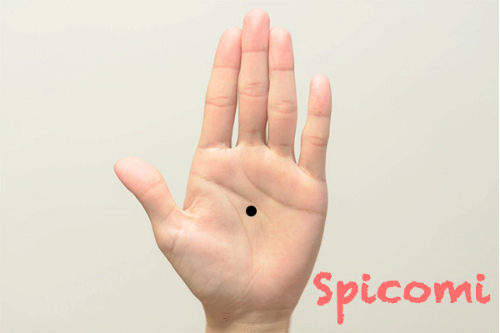 福つかみ［手相占い］