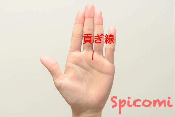 中指と薬指の間の縦線「貢ぎ線」