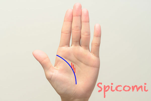 昇り龍線（龍神線）