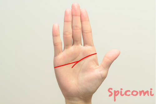 変形ますかけ線が右手にある場合