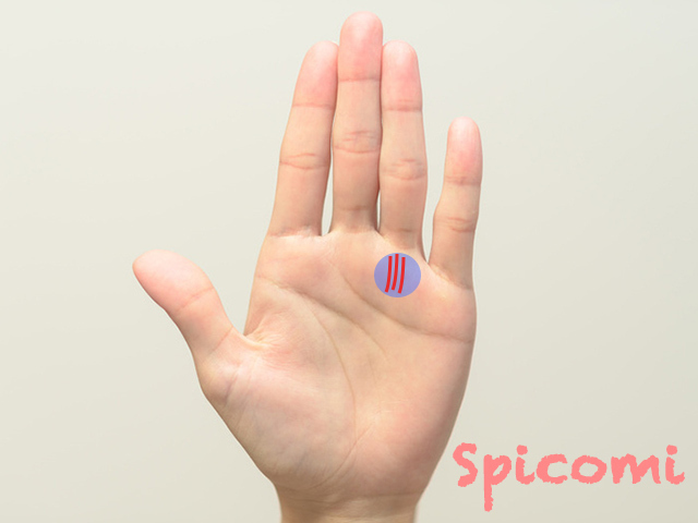 薬指の下の縦線が多い・複数