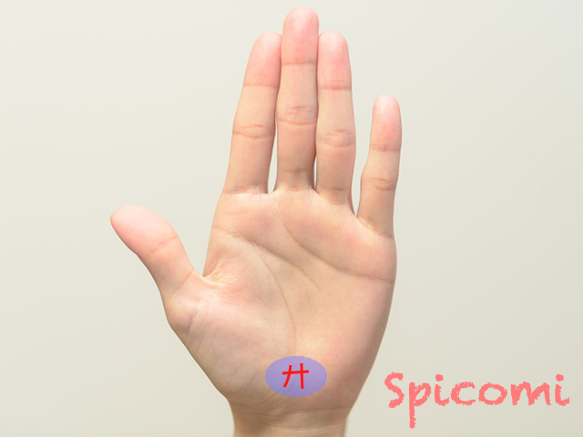 8. テンプルマーク（鳥居のマーク）