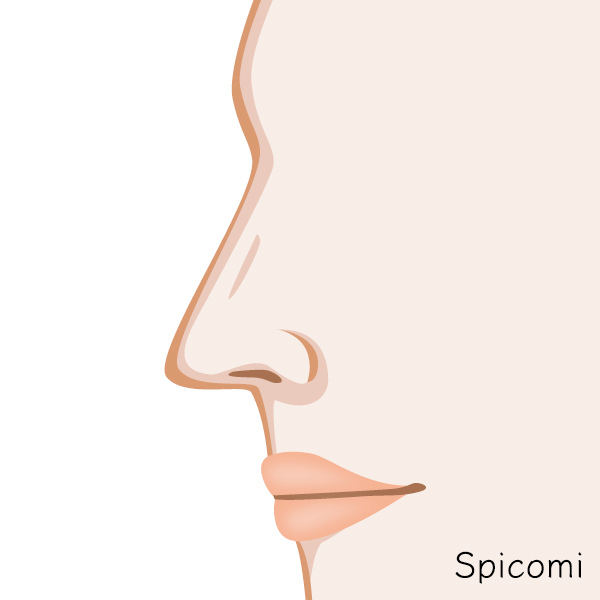 ギリシャ鼻［鼻の形の種類診断］