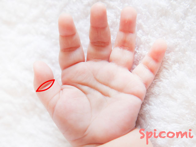 赤ちゃんの仏眼相