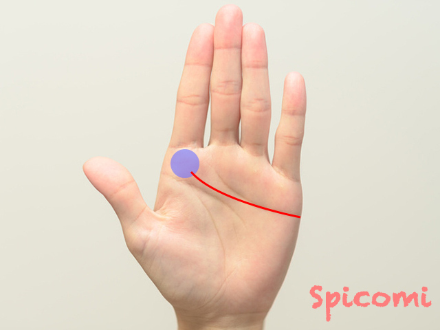 感情線が木星丘まで伸びている