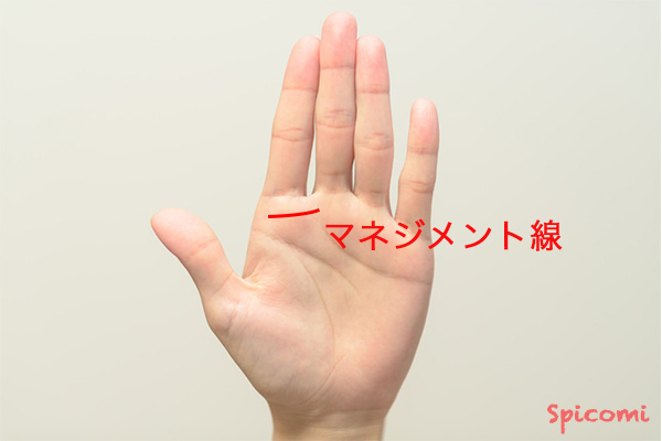 ［手相占い］マネジメント線