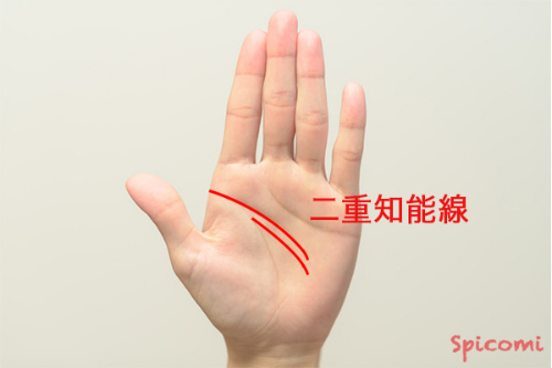 ［手相占い］二重知能線（二重頭脳線）の終点が下向きになっている