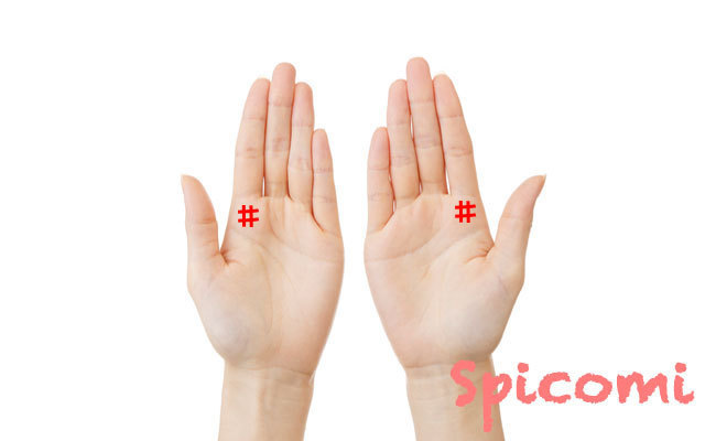 両手の聖職紋の意味