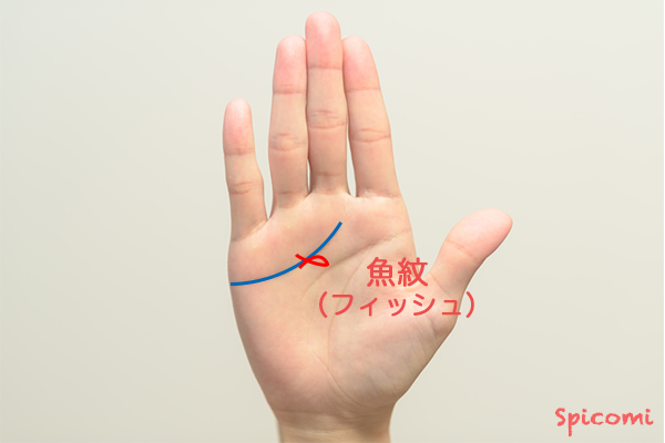 ［手相占い］感情線にフィッシュ（魚紋）が接している