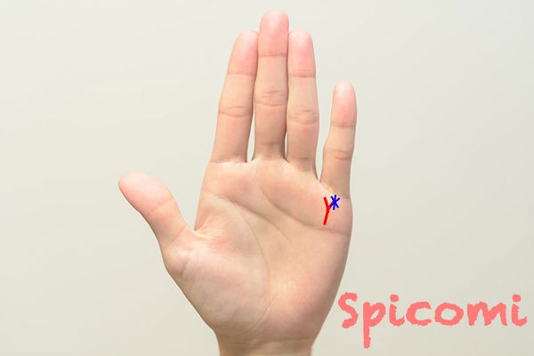 枝分かれしている財運線にスター線