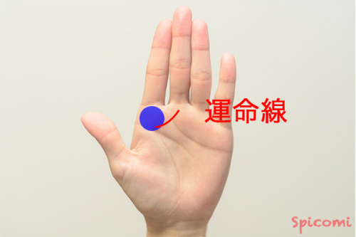 ［手相占い］終点が木星丘寄りに伸びている運命線