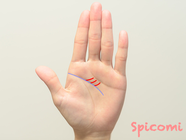 世渡り上手線［手相占い］