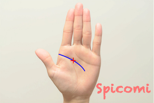 クロス（十字紋・バツ印）が頭脳線（知能線）上にある