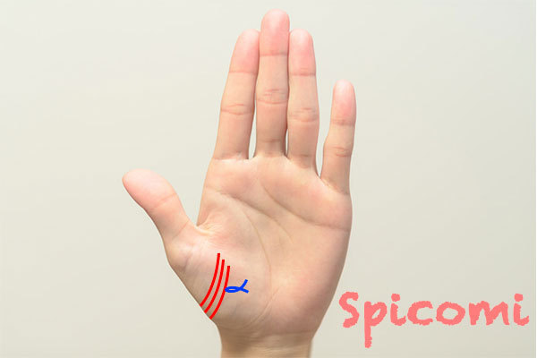 陰徳線にフィッシュ（魚紋）がある