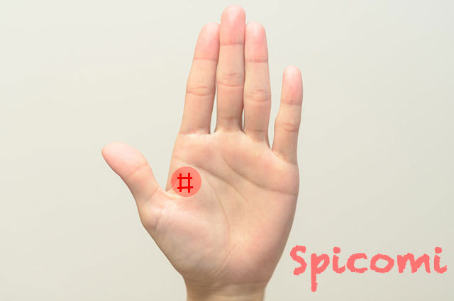 第一火星丘にスクエア(四角紋)がある