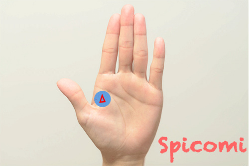 第一火星丘に三角紋がある