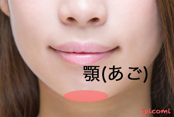 ［ほくろ占い］顎（真ん中）にあるほくろの意味と運勢