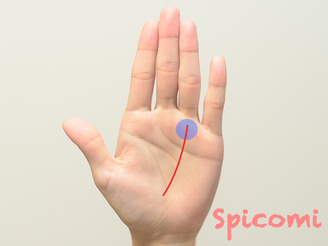 薬指の下の縦線が長い