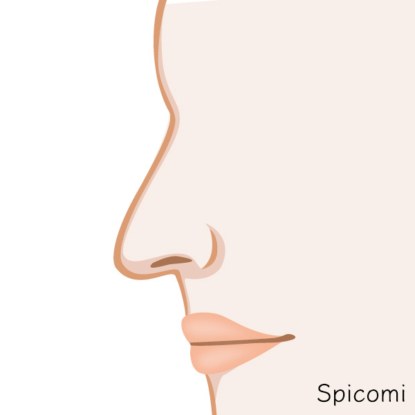 魔女鼻［鼻の形の種類診断］