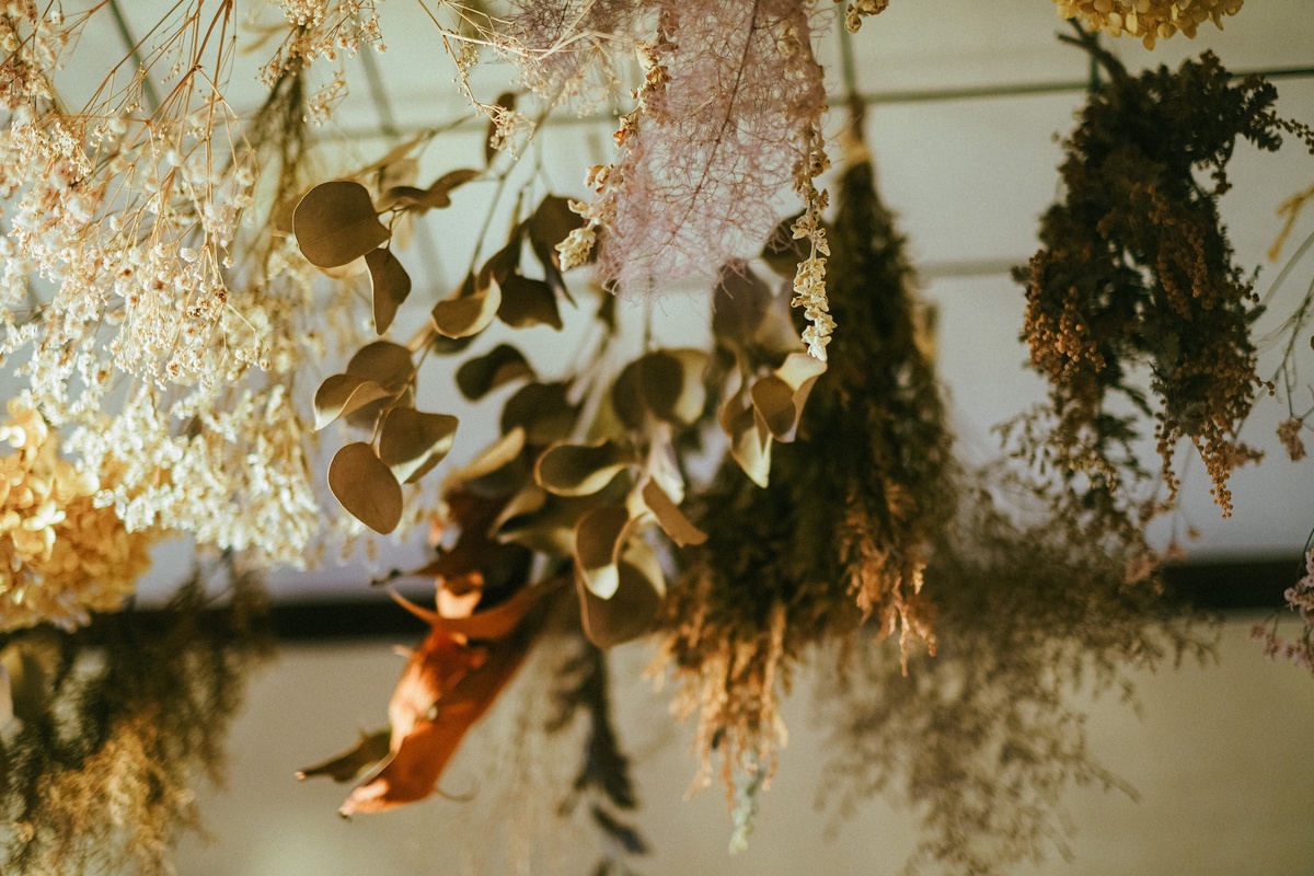 ドライフラワー