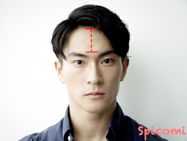 額が狭く眉と髪の生え際が近い