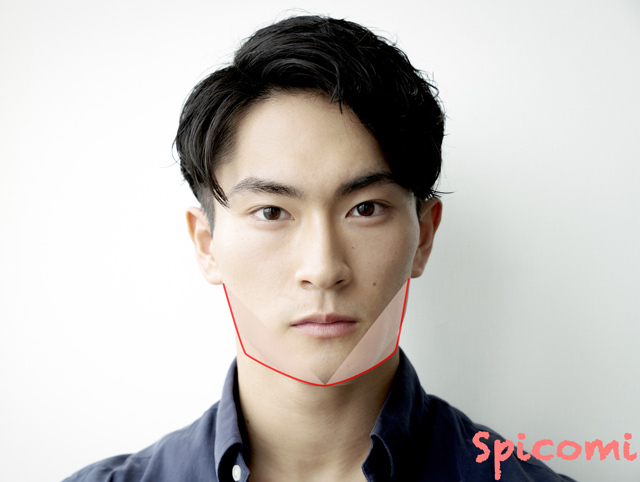 DV男やモラハラ男は頬やエラが張っている？