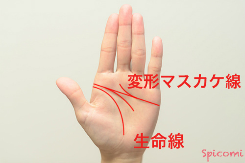 ［手相占い］KY線を構成している知能線が変型ますかけ線になっている