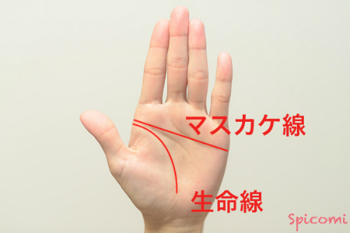 ［手相占い］KY線を構成している知能線がマスカケ線になっている