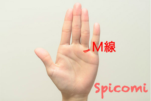 ドMの手相