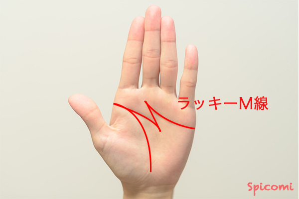 ［手相占い］ラッキーM線