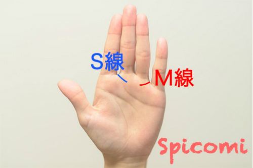 手相のM線とS線