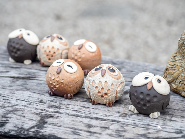 フクロウの画像