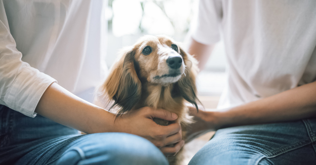 カップルの画像