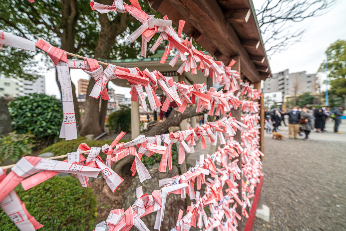 おみくじ大吉　結ぶ
