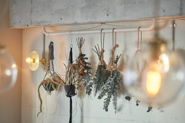 ドライフラワーの画像