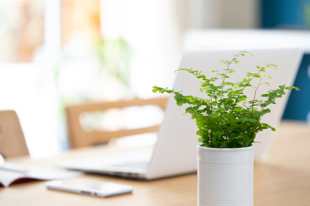 仕事のイメージ画像