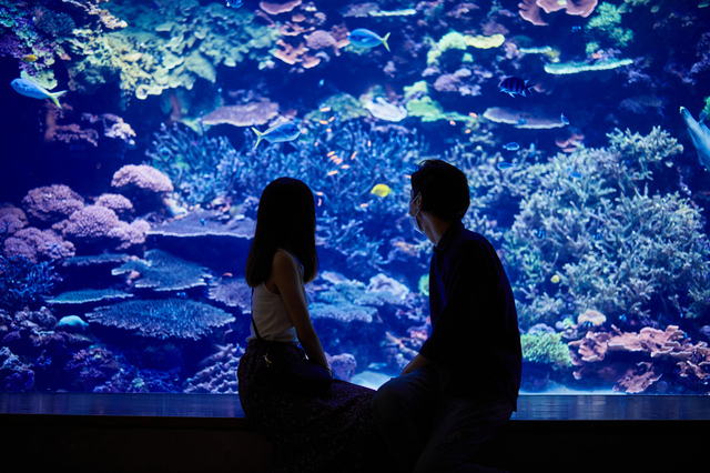 デートしているカップルの画像