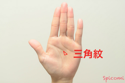 ［手相占い］三角紋
