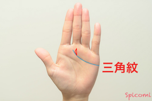 ［手相占い］三角紋が感情線に接するか線上に重なって現れている