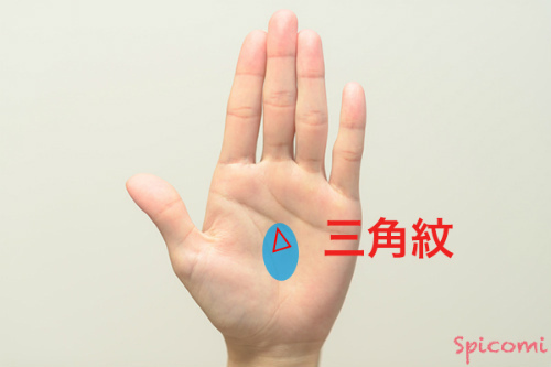 火星平原（手のひらの真ん中）に三角紋がある