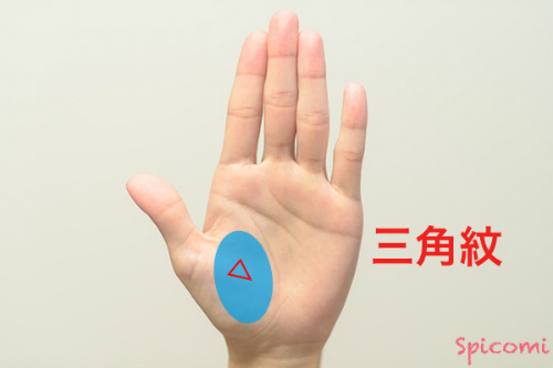 ［手相占い］金星丘に三角紋が現れている