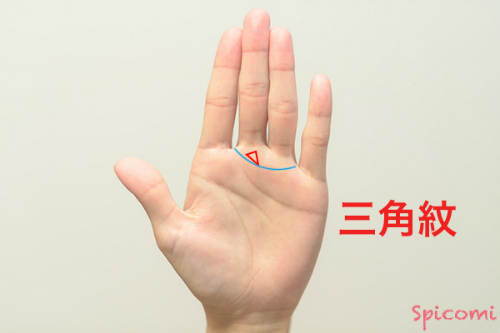 ［手相占い］三角紋が金星帯に接するか線上に重なって現れている