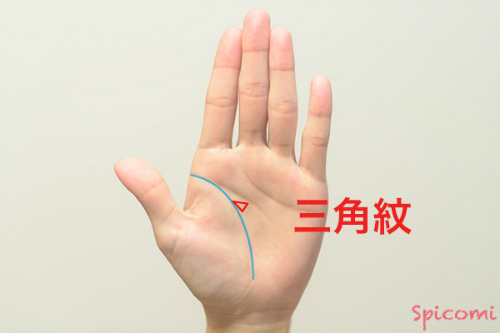 ［手相占い］三角紋が生命線に接するか線上に重なって現れている