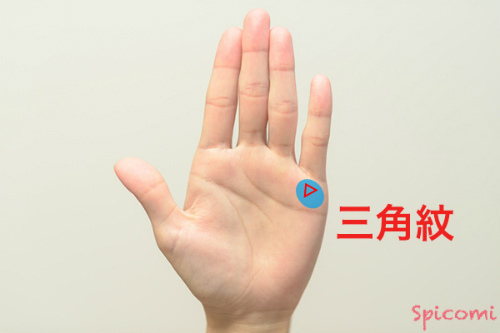 ［手相占い］水星丘に三角紋が現れている