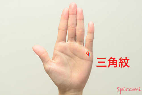 ［手相占い］三角紋が財運線に接するか線上に重なって現れている