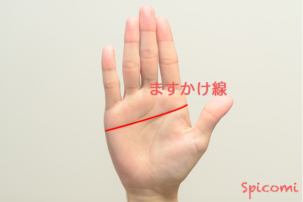 ［手相占い］ますかけ線