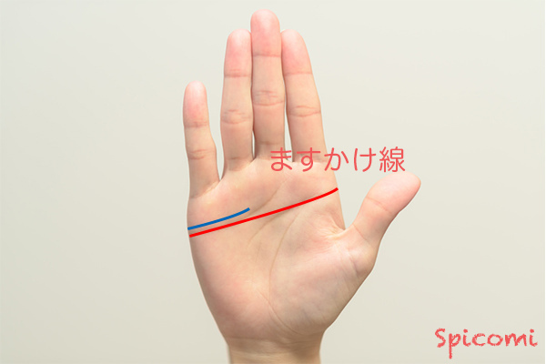 ［手相占い］ますかけ線で別に感情線がある場合の意味